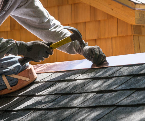 Best Roof Gutter Cleaning  in Withamsville, OH